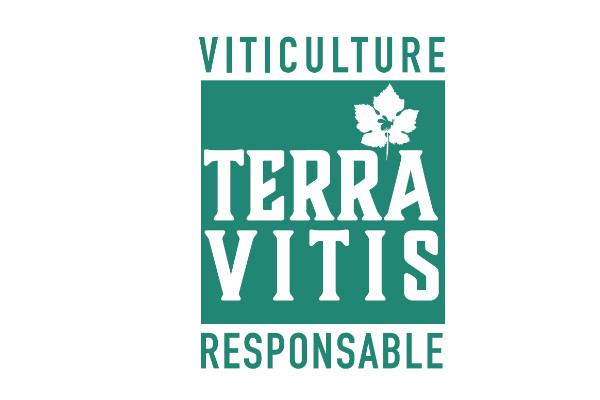 terra vitis